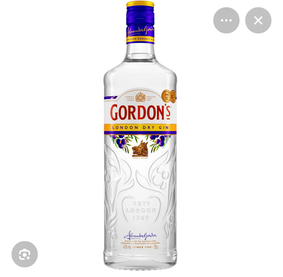 GORDONS GIN