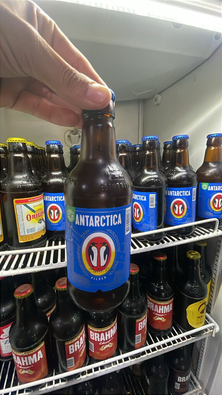 ANTARCTICA 300ML